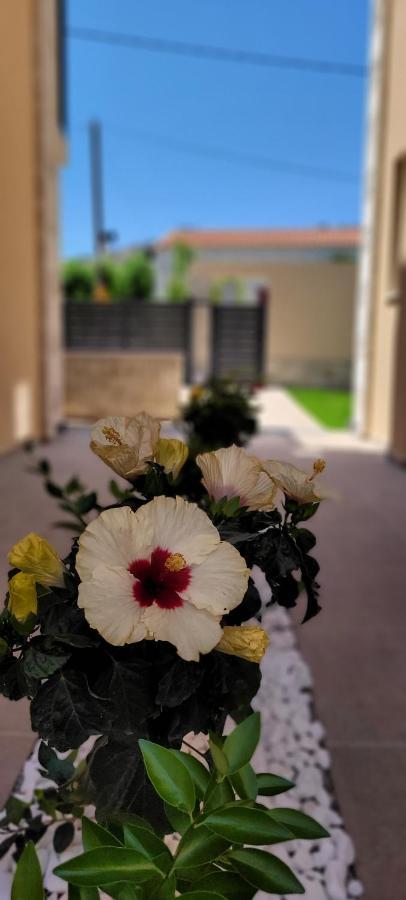 Splendid Villas And Family Resort Kalamítsion Amigdhálion 外观 照片